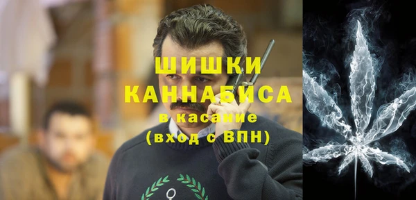 эйфоретик Няндома
