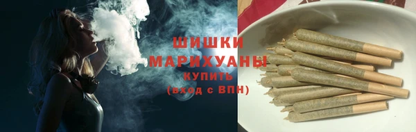 эйфоретик Няндома