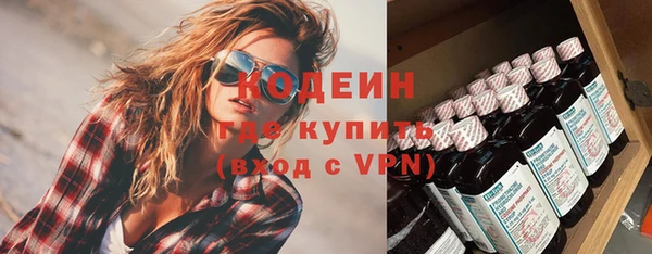 эйфоретик Няндома