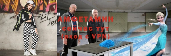 эйфоретик Няндома
